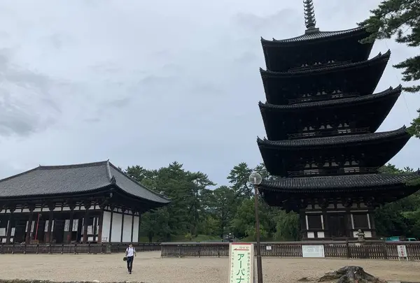 興福寺五重塔の写真・動画_image_306901