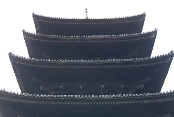 興福寺五重塔の写真・動画_image_306902
