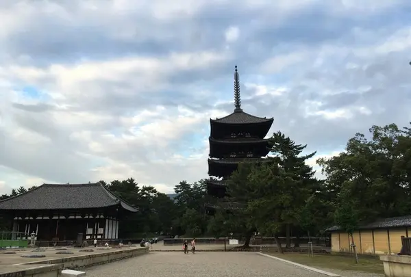 興福寺五重塔の写真・動画_image_306905