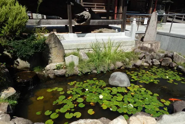 大本山 須磨寺の写真・動画_image_308795