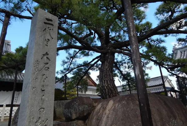 花岳寺の写真・動画_image_308960