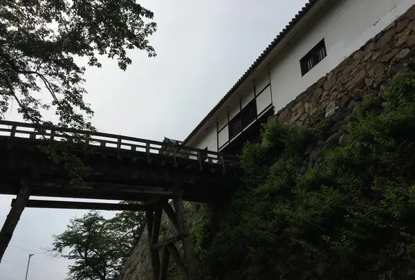 彦根城の写真・動画_image_309957
