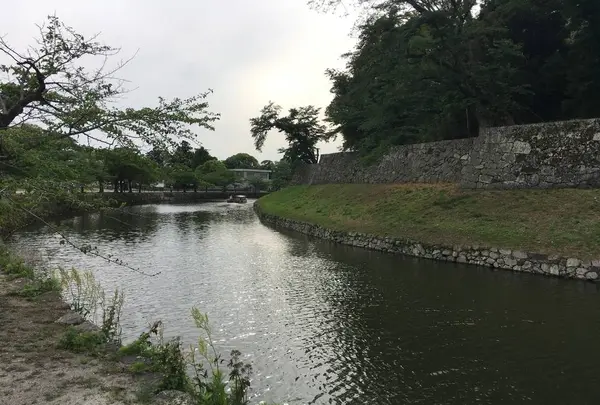 彦根城の写真・動画_image_309965