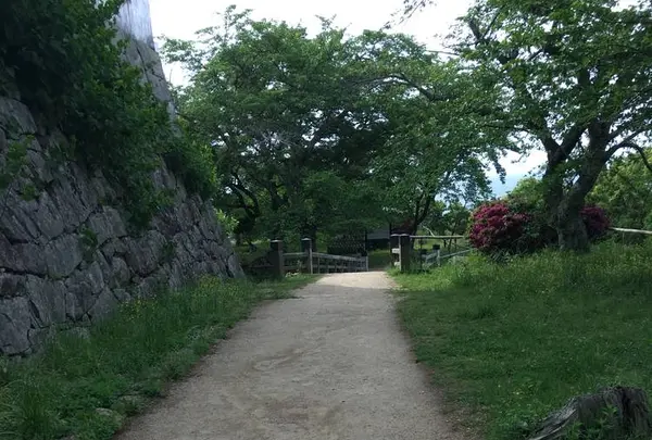 彦根城の写真・動画_image_309967