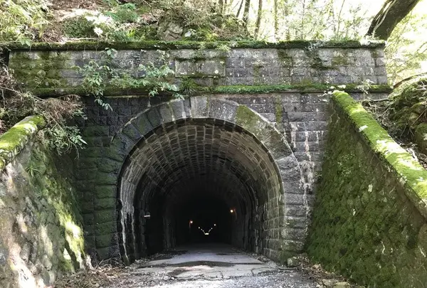 旧天城トンネルの写真・動画_image_311087