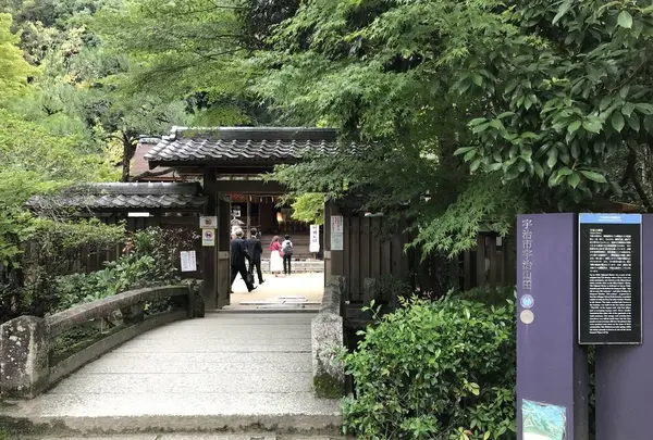 宇治上神社の写真・動画_image_312041