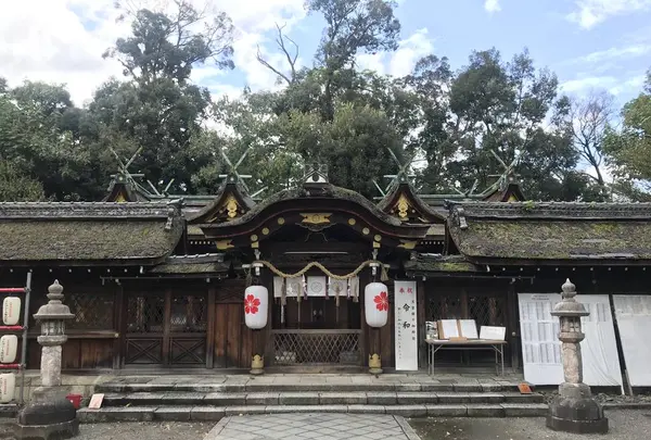 平野神社の写真・動画_image_312146