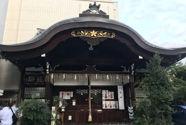 京都大神宮の写真・動画_image_318203