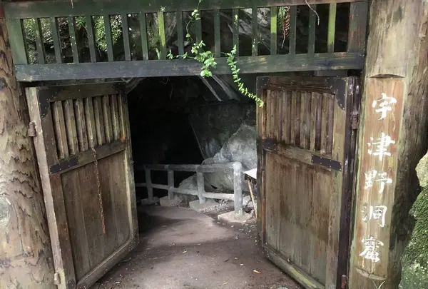 宇津野洞窟の写真・動画_image_319555