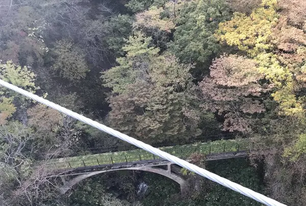 つつじ吊橋の写真・動画_image_320372