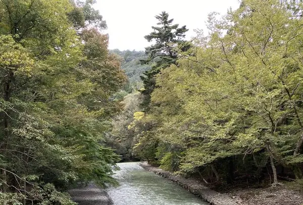 伊勢神宮内宮（皇大神宮）の写真・動画_image_320402