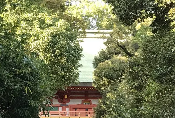 武蔵一宮 氷川神社の写真・動画_image_320893