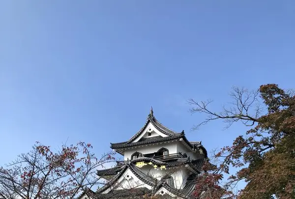 彦根城の写真・動画_image_325777