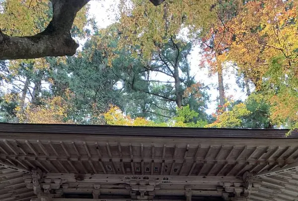 百済寺の写真・動画_image_328339