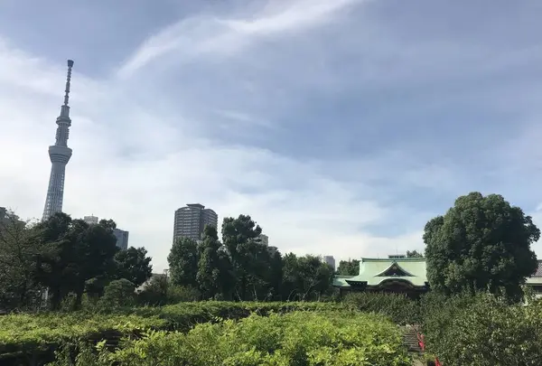 亀戸天神社の写真・動画_image_330382
