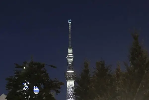 浅草寺の写真・動画_image_330421