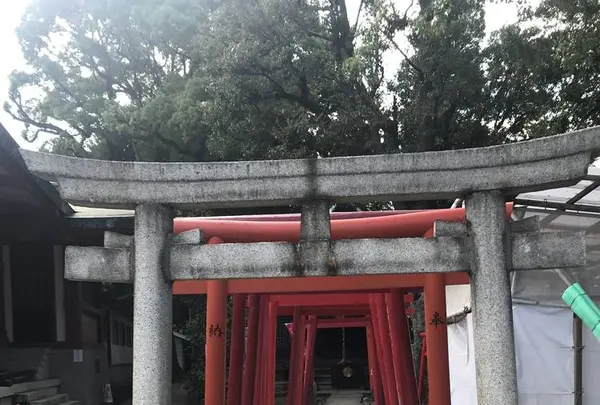 品川神社の写真・動画_image_330439