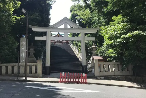 日枝神社の写真・動画_image_331001