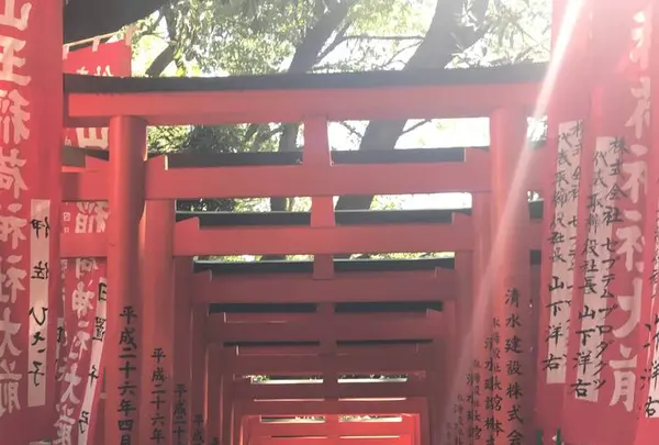 日枝神社の写真・動画_image_331003
