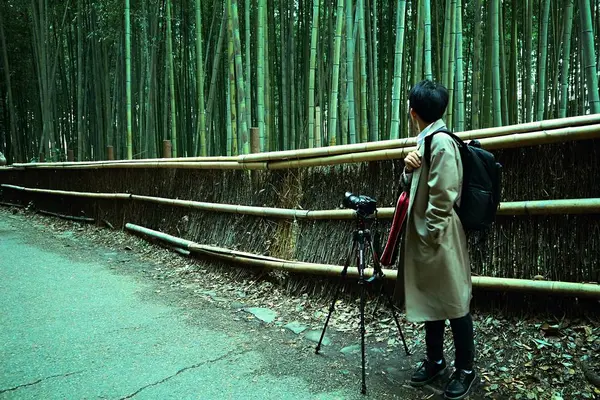 嵐山 竹林の小径の写真・動画_image_334180