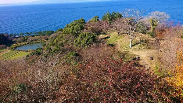 煌めきの丘の写真・動画_image_335141