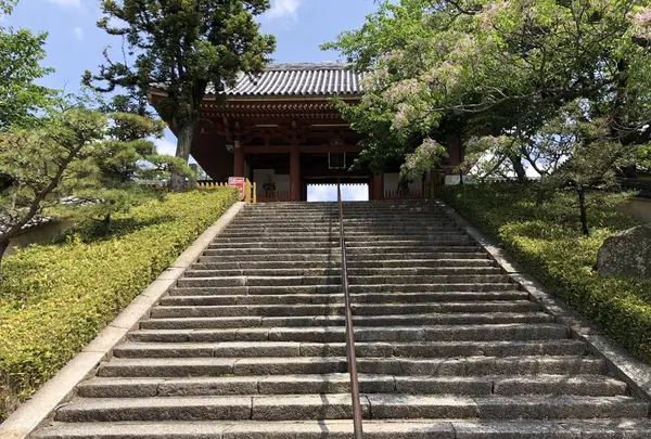 叡福寺の写真・動画_image_335241