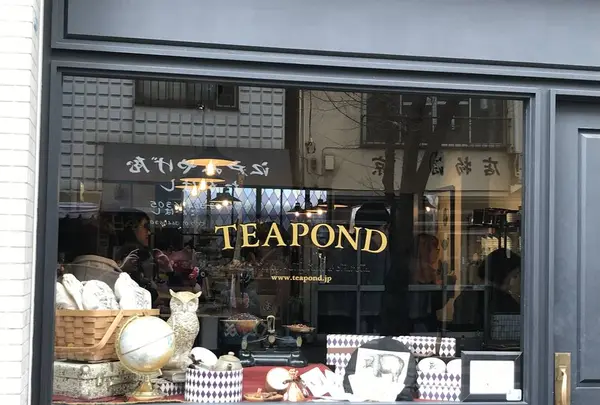 TEAPONDの写真・動画_image_336648