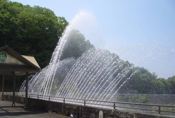 ゆ〜らぎ橋鷺の大噴水の写真・動画_image_336684