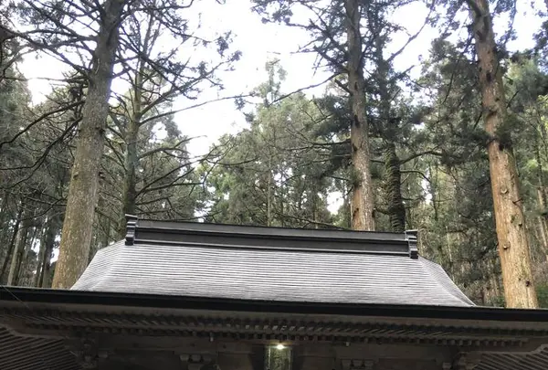 上色見熊野座神社の写真・動画_image_338402