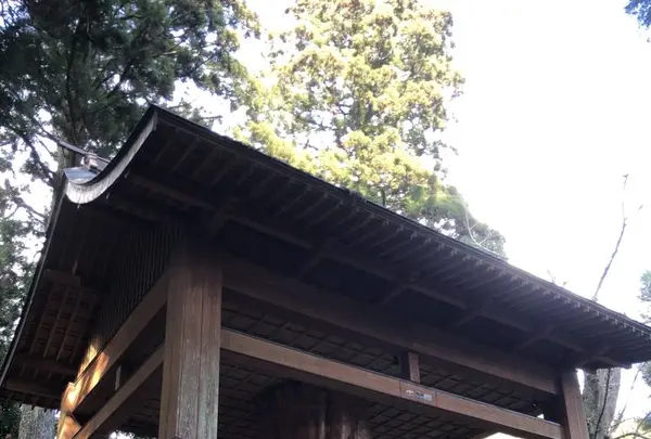 国造神社の写真・動画_image_338439