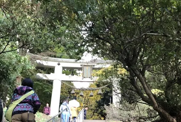 宝登山神社 奥宮の写真・動画_image_340277