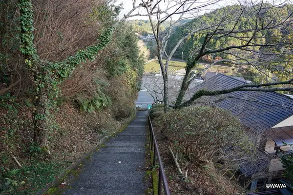 久延寺の写真・動画_image_340314