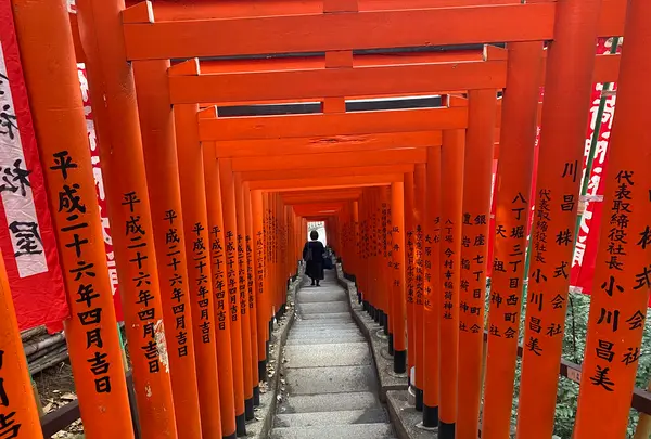 日枝神社の写真・動画_image_346876