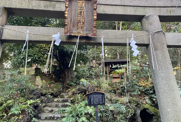 赤坂氷川神社の写真・動画_image_346885