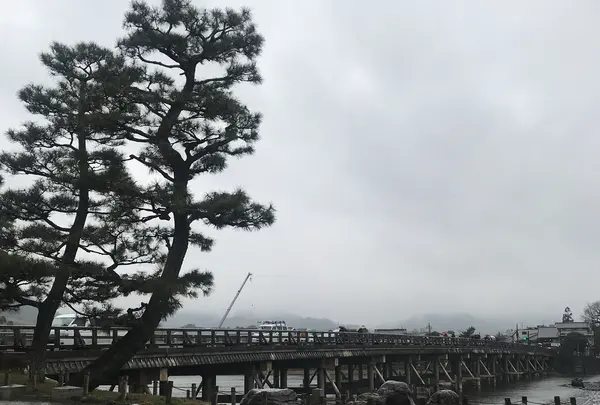 嵐山の写真・動画_image_349210