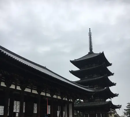 興福寺の写真・動画_image_349798