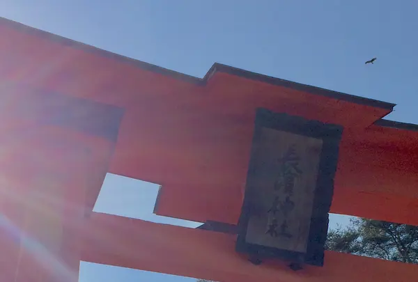 長浜神社の写真・動画_image_350098