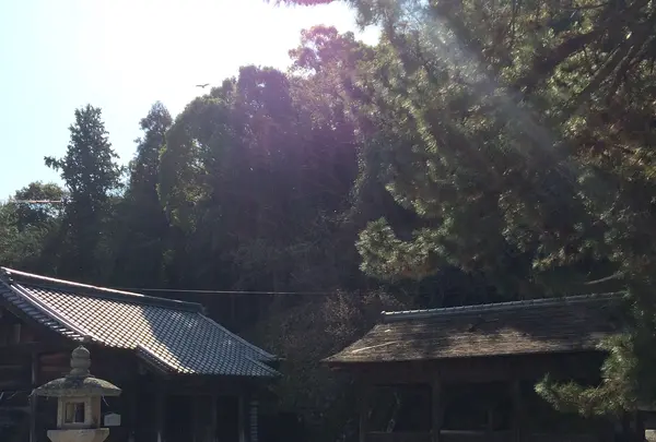 長浜神社の写真・動画_image_350123