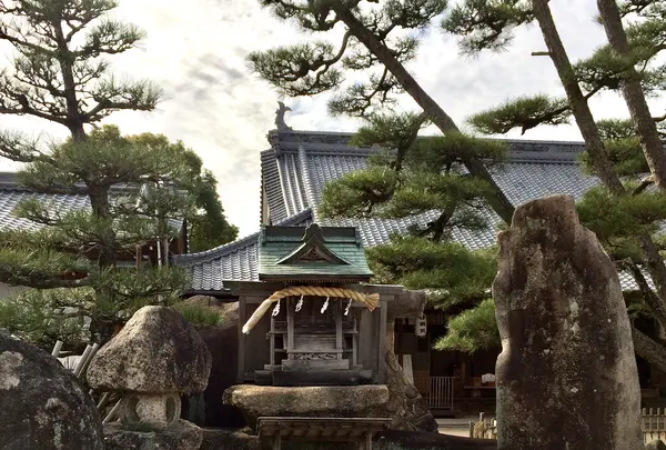 大願寺の九本松の写真・動画_image_350300