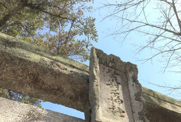 荒胡子神社の写真・動画_image_350362
