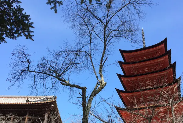 荒胡子神社の写真・動画_image_350365