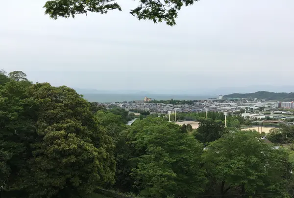 彦根城の写真・動画_image_350657