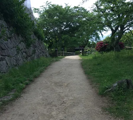 彦根城の写真・動画_image_350662