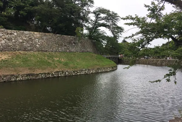 彦根城の写真・動画_image_350663