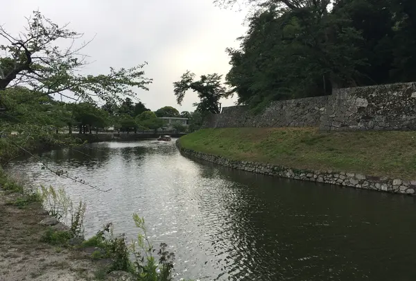 彦根城の写真・動画_image_350666