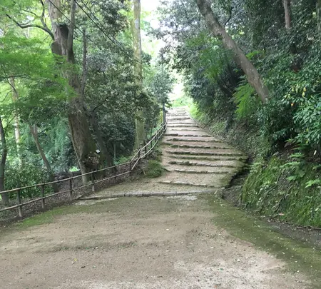 彦根城の写真・動画_image_350668