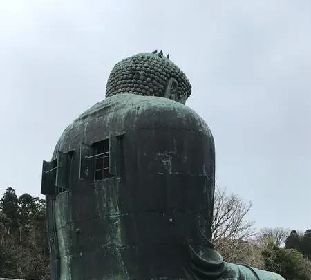 鎌倉大仏殿高徳院の写真・動画_image_353766