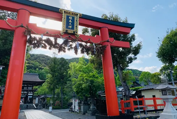 松尾大社の写真・動画_image_356440