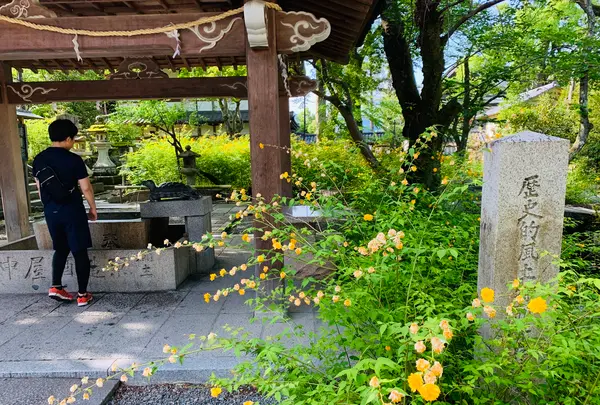 松尾大社の写真・動画_image_356442