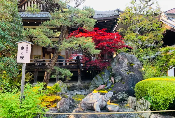 松尾大社の写真・動画_image_356452